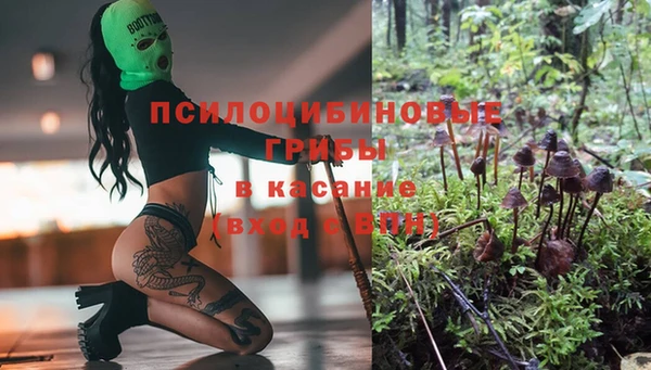 ALPHA-PVP Верея