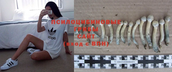 трава Верхний Тагил