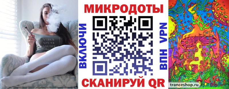 Галлюциногенные грибы Psilocybe  Майкоп 